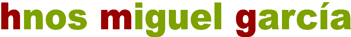 Logo HMG Burgos